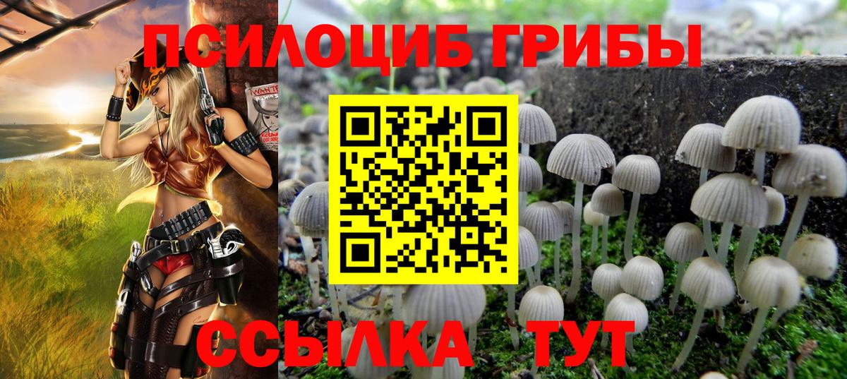 Псилоцибиновые грибы MAGIC MUSHROOMS  Вход с VPN  Галлюциногенные грибы MAGIC MUSHROOMS  Павлово 
