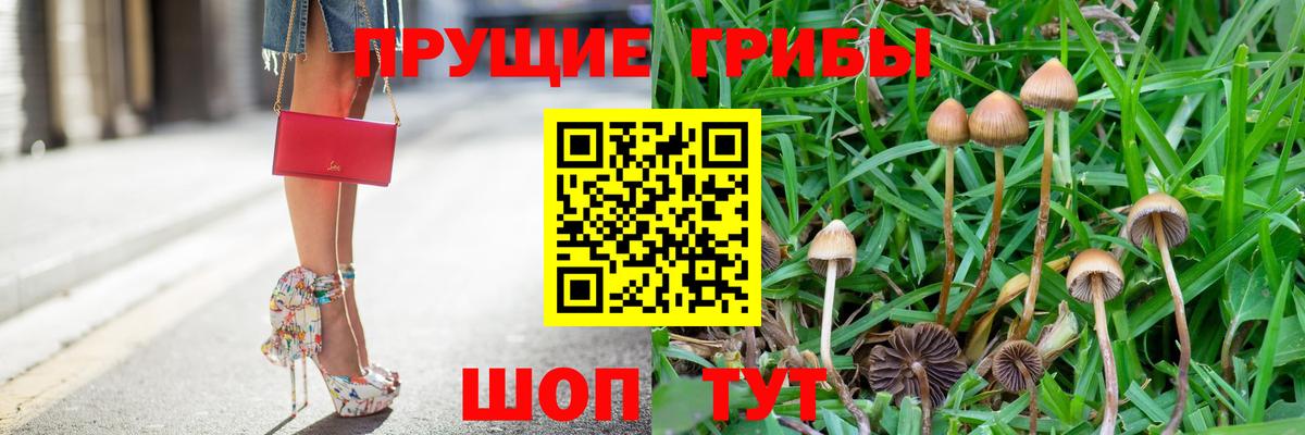 Псилоцибиновые грибы GOLDEN TEACHER Павлово